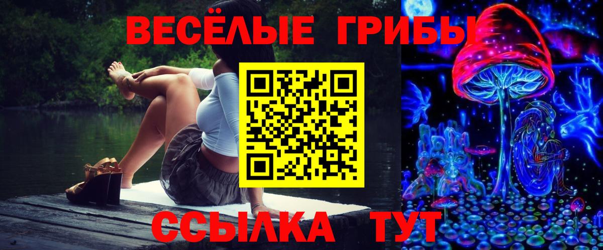 Псилоцибиновые грибы мицелий Чита