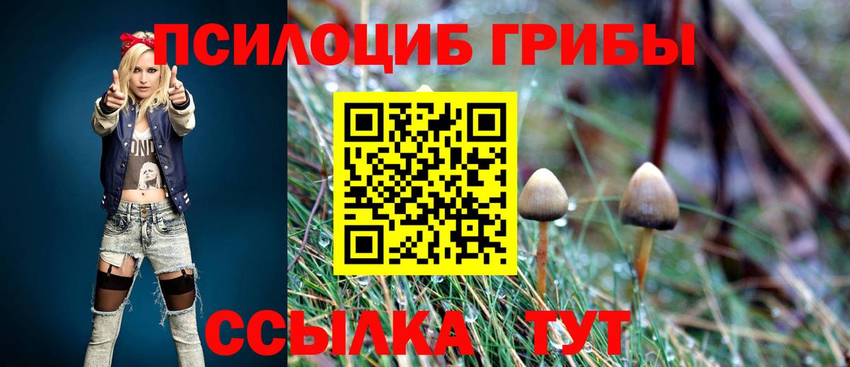 Псилоцибиновые грибы Psilocybine cubensis  Вход с VPN  Чита 